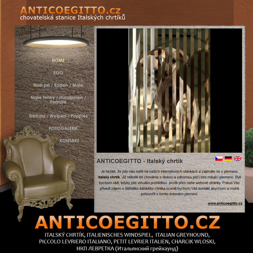 anticoegitto cz.png