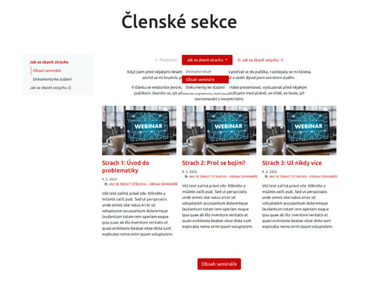 clenske-sekce-fe05.jpg