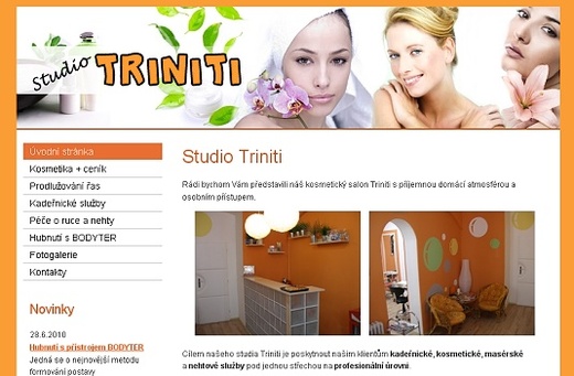 šablona č. 3 - oranžová.jpg